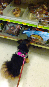 PetSmart - Photo 8 - Car repair in High Point, NC, Winston-Salem