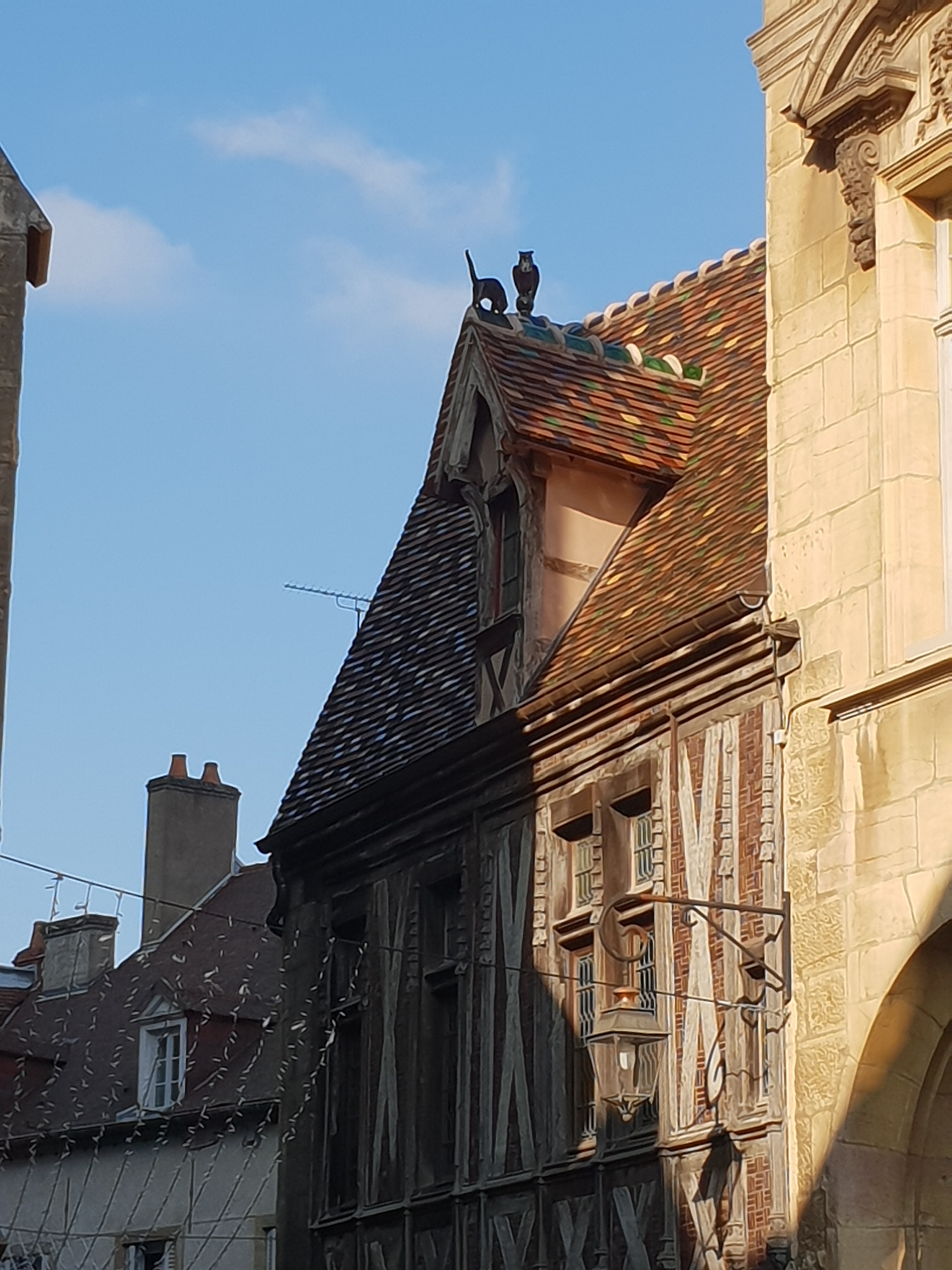 Photo n° 5 de l'avis de Jacques.e fait le 18/11/2018 à 11:34