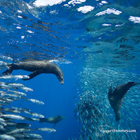 Gregory Sweeney Photography & Tours - Photo 9 - Car repair in , Cape Coral