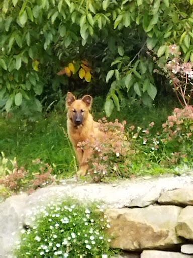 Clínica Veterinaria Rontegi en Barakaldo