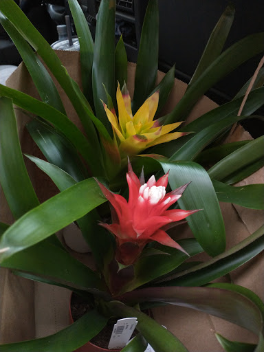 Home Improvement Store «City People Sandpoint True Value», reviews and photos, 5440 Sand Point Way NE, Seattle, WA 98105, USA