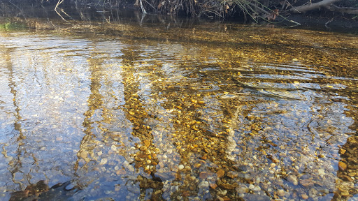 State Park «Valley Stream State Park», reviews and photos, Valley Stream State Park Rd, Valley Stream, NY 11580, USA