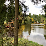 Photo n°1 de l'avis de Tobias.e fait le 12/10/2017 à 12:29 sur le  Meiler Imbiss Schöneck à Schöneck