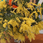 Photo n°18 de l'avis de Gianluca.a fait le 14/02/2023 à 20:59 sur le  Villa San Paolo Resort & Spa Hotel San Gimignano à San Gimignano