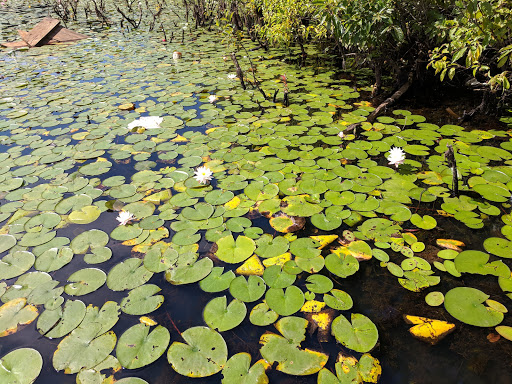 Park «Pond Meadow Park», reviews and photos, 470 Liberty St, Braintree, MA 02184, USA