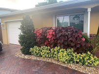 Potter's Lawn & Landscaping - Photo 7 - Car repair in Pompano Beach, FL, Pompano Beach