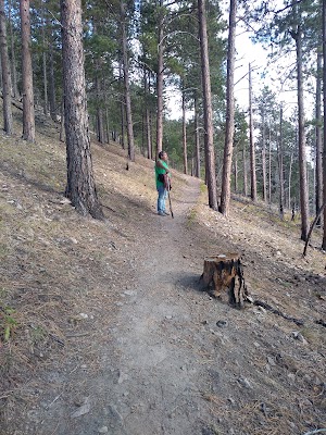 Crow Peak Trailhead - photo 25