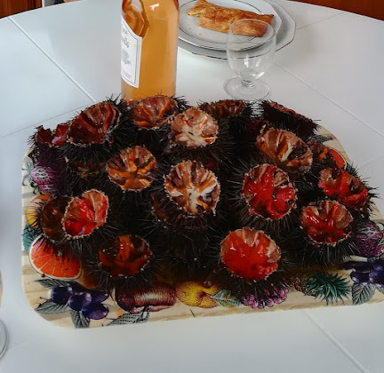 Plats et boissons hôtels Résidence Kallisté Porticcio 20166 Albitreccia