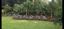 Coastal Trees and Landscaping LLC - Photo 6 - Car repair in , Palm Bay