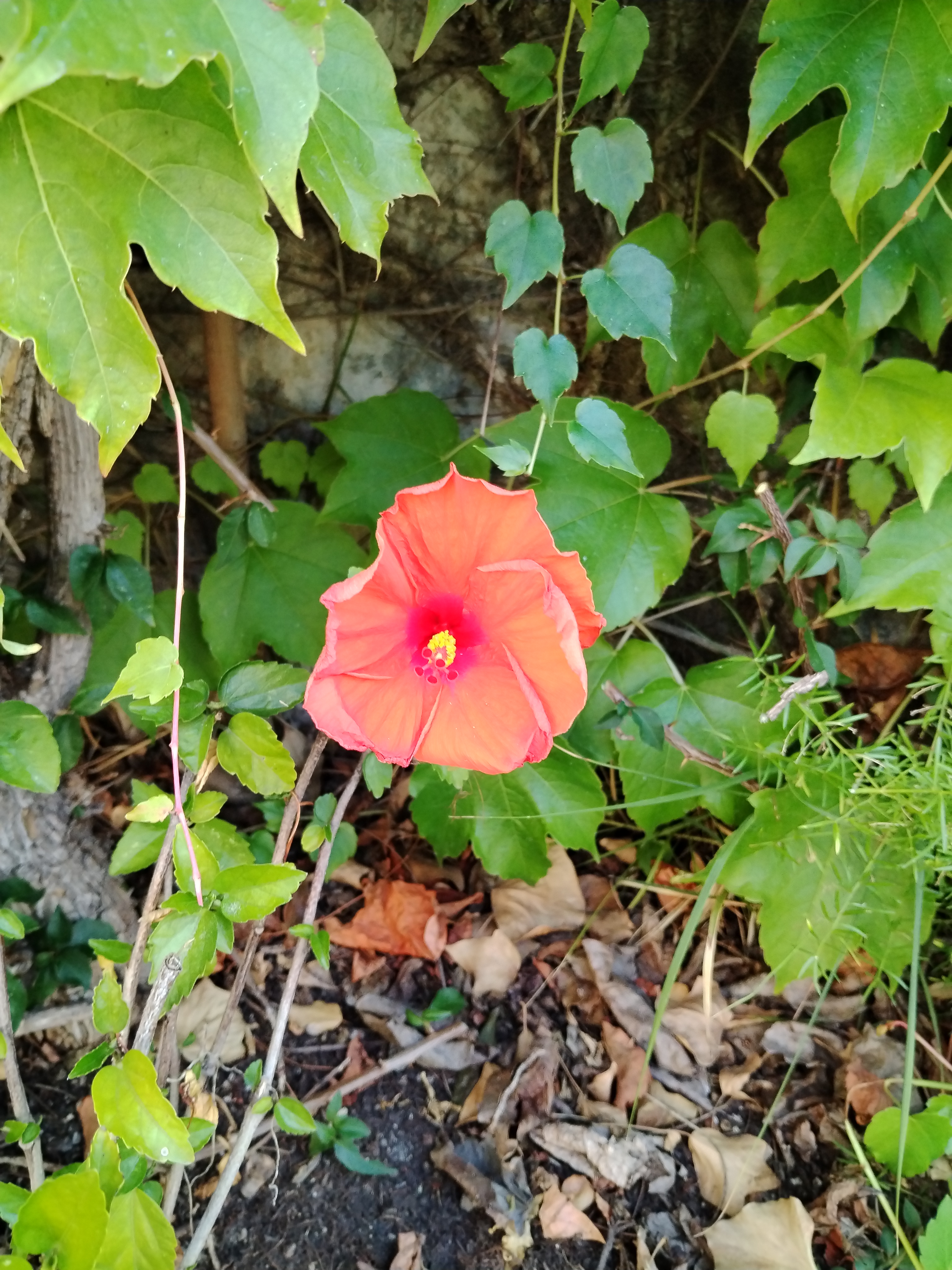 Photo n° 2 de l'avis de Jean-marie.a fait le 21/08/2023 à 16:15