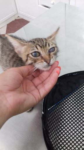 Centro Veterinario Todocan Mascotas y Salud en Puerto Real