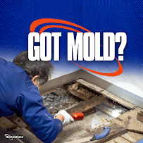 AdvantaClean of the West Side - Photo 3 - Car repair in North Olmsted, OH, Lorain