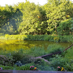 Photo n°2 de l'avis de Andreas.r fait le 23/06/2019 à 22:25 sur le  Ruhekrug à Lürschau