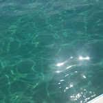 Photo n°1 de l'avis de Gabri. fait le 01/09/2018 à 12:52 sur le  Il Convio à Spiaggia di Cavoli