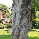 Photo n°1 de l'avis de Marco.i fait le 02/06/2020 à 20:55 sur le  Hotel con piscina La Torre - DIMORA STORICA nella Valle d'Intelvi, vicino al LAGO DI COMO e di LUGANO Castiglione d'Intelvi à Castiglione d'Intelvi