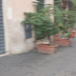 Photo n°7 de l'avis de carlo.e fait le 29/11/2020 à 15:37 sur le  La Renella Forno Antico Trastevere à Rome