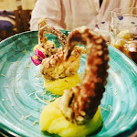 Photo n°2 de l'avis de Flavia.e fait le 01/08/2023 à 14:32 sur le  Taverna Antonio à Ischia