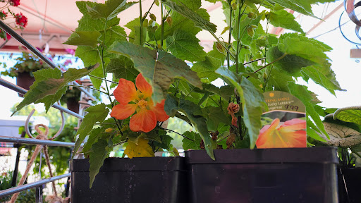 Hardware Store «Newberg Hardware», reviews and photos, 2100 Portland Rd, Newberg, OR 97132, USA