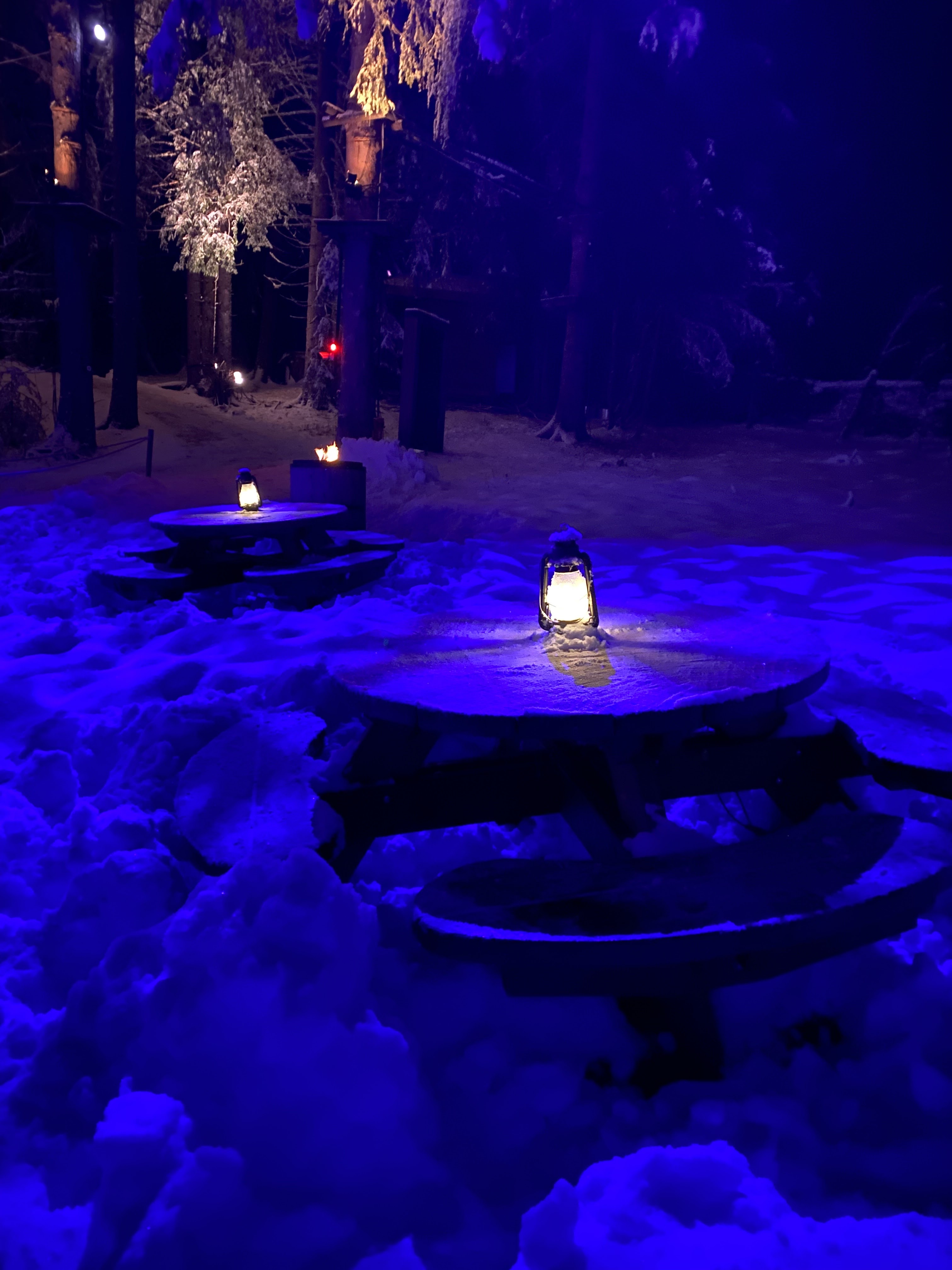 Photo n° 6 de l'avis de Marjorie.a fait le 22/12/2022 à 18:32