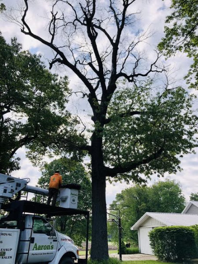 Aaron's Perfect Cut Tree Service