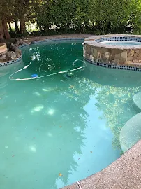 Sapphire pool Service Inc - Car repair in , Concord - Rated 5.0/5