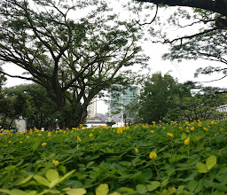 Taman Labirin Balai Kota Bandung photo