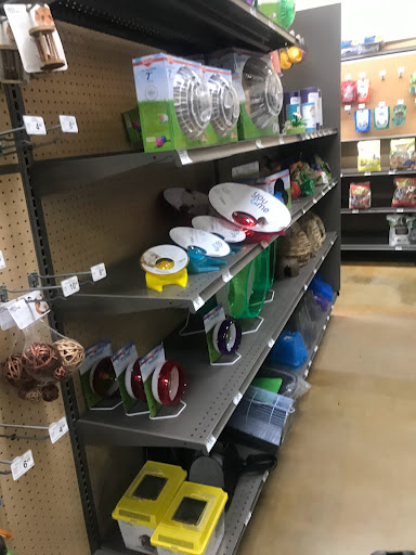 Pet Supply Store «Petco Animal Supplies», reviews and photos, 1141 Wantagh Ave, Wantagh, NY 11793, USA