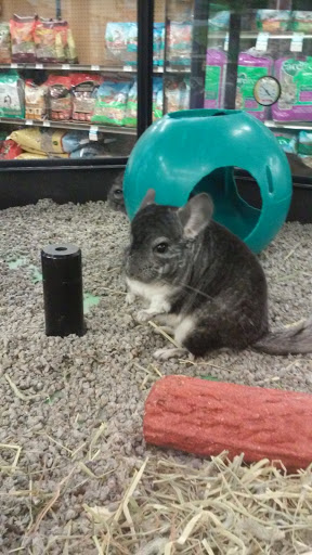 Pet Supply Store «Petco Animal Supplies», reviews and photos, 717 SE Geary St #101, Albany, OR 97321, USA