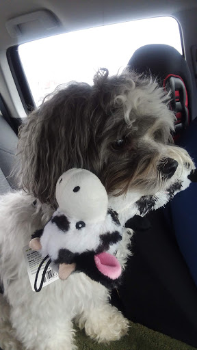 Pet Supply Store «Pet Supplies Plus», reviews and photos, 1791 W Columbia Ave, Battle Creek, MI 49015, USA