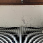 Photo n°1 de l'avis de Lennart.. fait le 18/10/2020 à 15:26 sur le  BECKERS à Trier