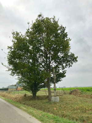 Calvaire à Thubœuf