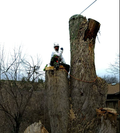 Arbor Elite Tree Company