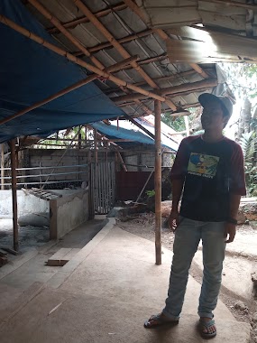 Makan Kiara Payung