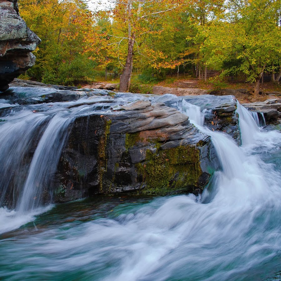 Turkey Creek Nature Preserve