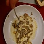 Photo n°1 de l'avis de Rudolf.e fait le 08/08/2020 à 14:23 sur le  Danilo e Patrizia à Bologna