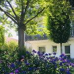 Photo n°14 de l'avis de Ramona.a fait le 21/07/2019 à 15:57 sur le  Hotel Christiane à Runding