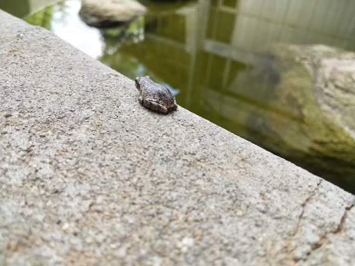 Heritage Museum «Gwinnett Environmental and Heritage Center», reviews and photos, 2020 Clean Water Dr, Buford, GA 30519, USA