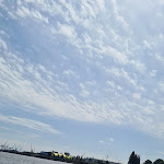 Photo n°8 de l'avis de Frank.l fait le 21/05/2023 à 18:54 sur le  Pyjama Park Hotel & Hostel St.Pauli à Hamburg