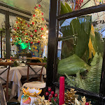 Photo n°11 de l'avis de Cri. fait le 04/03/2022 à 06:36 sur le  13 Giugno à Milan