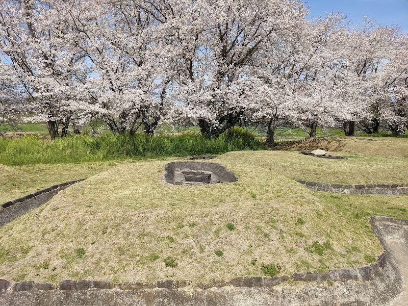 赤塚方形周溝墓群