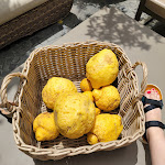 Photo n°2 de l'avis de Lindsey.e fait le 24/06/2023 à 07:27 sur le  Hotel Forum Pompei à Pompei