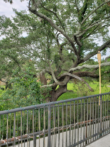 Seafood Restaurant «Blow fly inn», reviews and photos, 1201 Washington Ave, Gulfport, MS 39507, USA