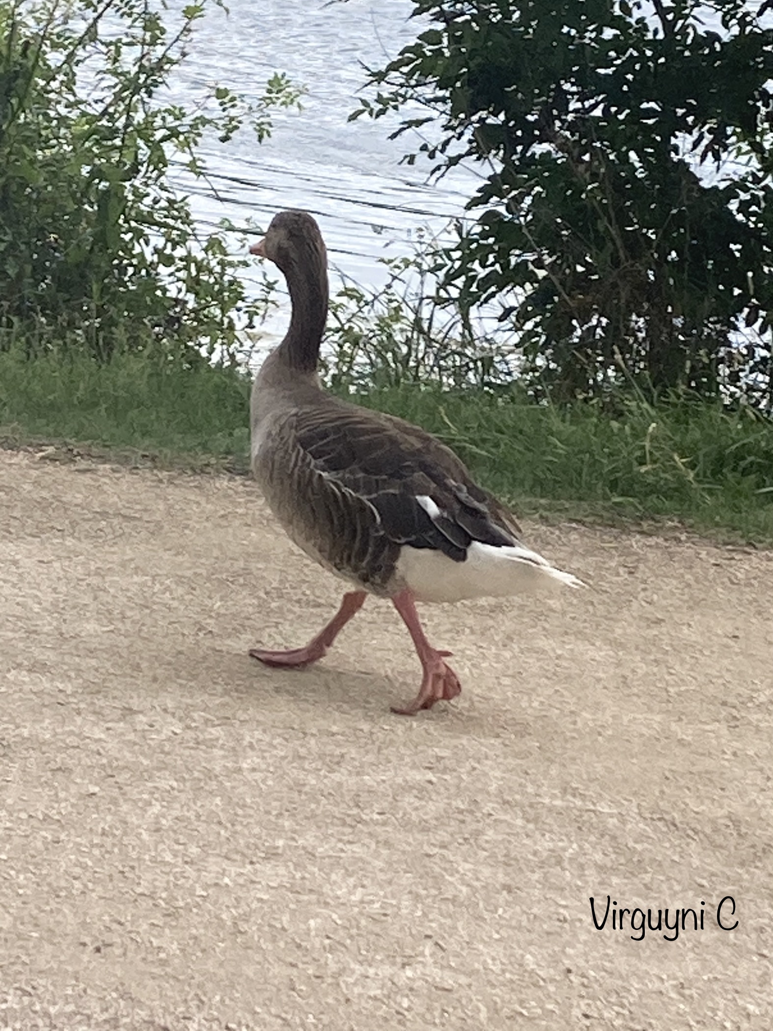 Photo n° 6 de l'avis de Virginie.n fait le 10/06/2022 à 08:34