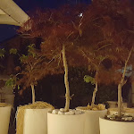 Photo n°13 de l'avis de Galya.o fait le 07/06/2017 à 21:33 sur le  Le Stagioni à Orio al Serio