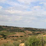 Photo n°5 de l'avis de Lola.e fait le 26/08/2021 à 09:35 sur le  Birrificio, Agri Camping, Pianella (Pe) e Agripub Golden Rose di Chiappini Melania à Pianella