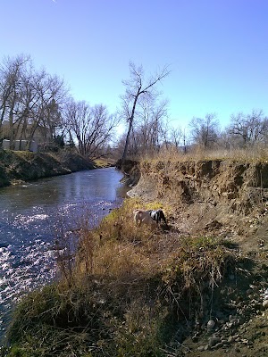 Anderson Park - photo 58