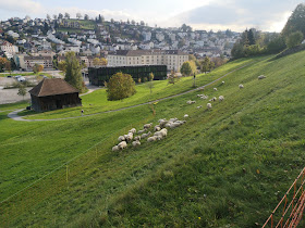 Herisau, Kaserne