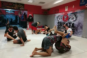 Pitbull Dojo - Jiu jitsu Academia Argentina image