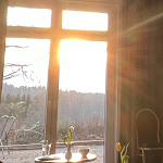 Photo n°4 de l'avis de freak.z fait le 24/04/2022 à 14:18 sur le  TA-TAA! - Tagungs- und Kulturhotel im Taunus à Schmitten