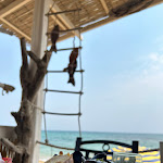 Photo n°3 de l'avis de Anmery. fait le 25/08/2023 à 11:26 sur le  Lido Azzurro Noto - Hosteria Del Mare à Noto